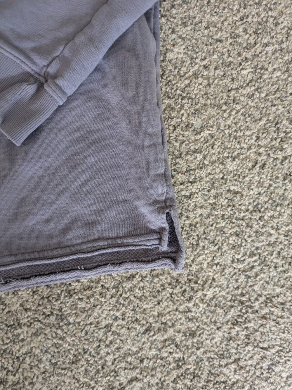 Pact Raglan Relaxed Sweatshirt - Picture 4 of 6